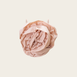 VANINA Epine De Rose Bustier bus-epine de rose_light pink_xl